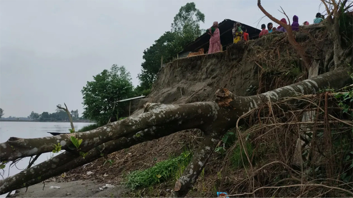 নদীভাঙনে বিলীন হচ্ছে ঘরবাড়ি, আতঙ্কে নদীপাড়ের মানুষ